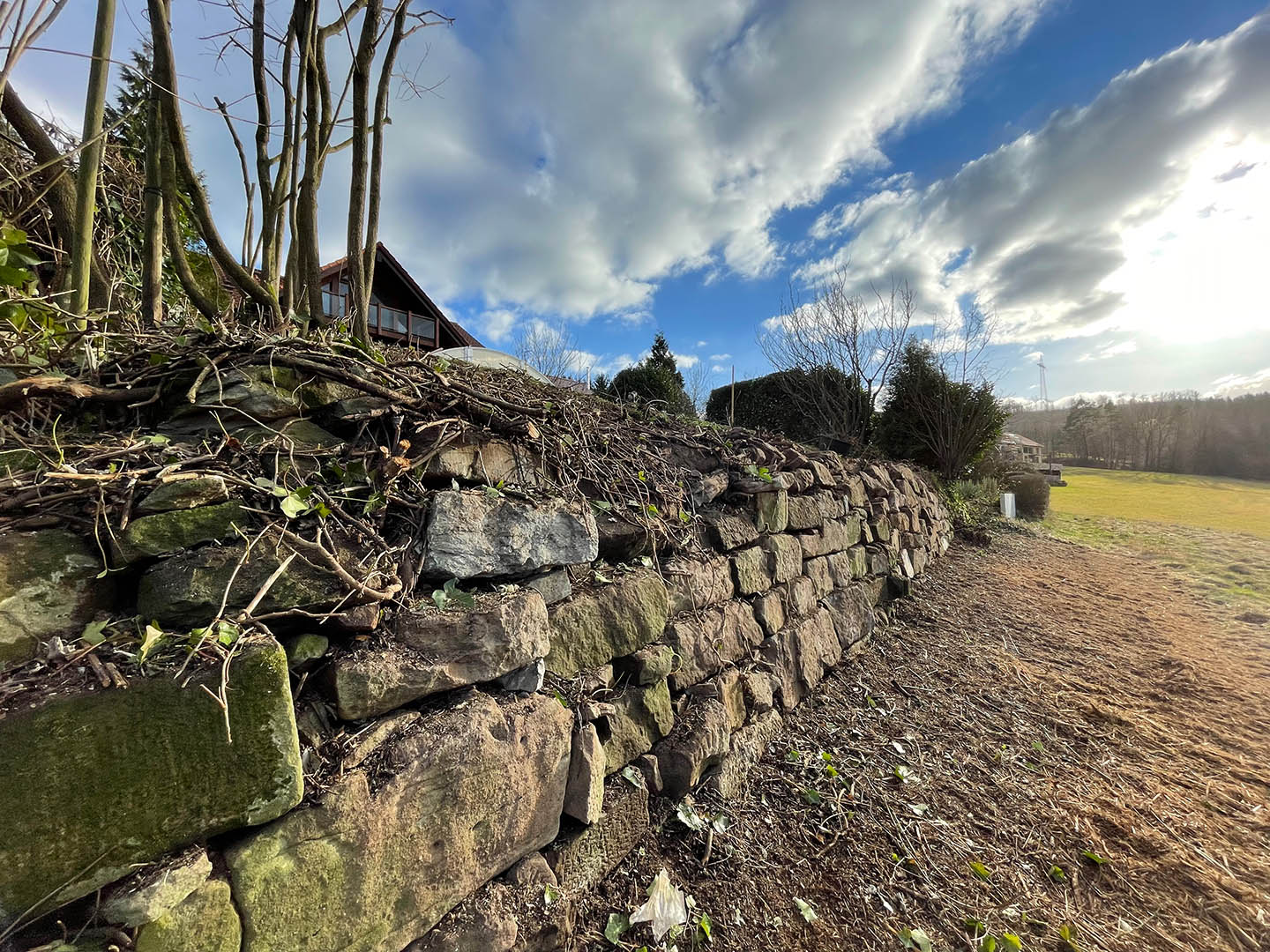Freigelegte Natursteinmauer nach Grundstücksrodung im Rems-Murr-Kreis